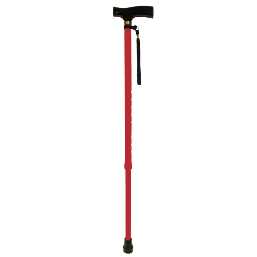 Aluminum Cane